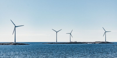 World Ocean Day - Photo by Mary Ray on Unsplash