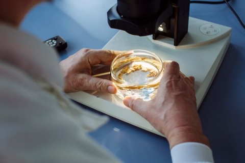 PhD student Harry Austin in the lab