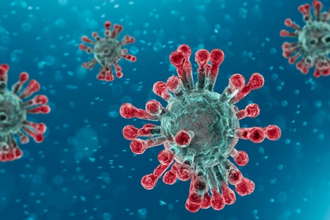 coronavirus