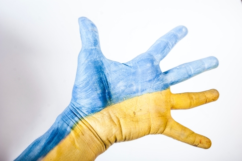 Hand half painted in blue and half in yellow