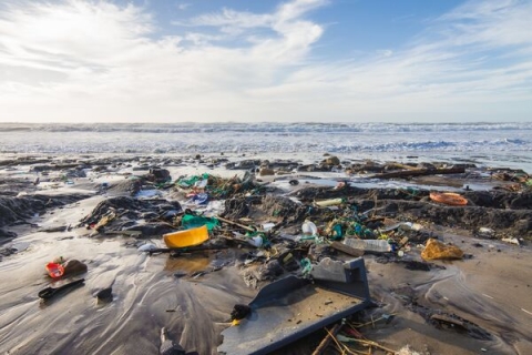 A sandy beach that is covered in plastic litter