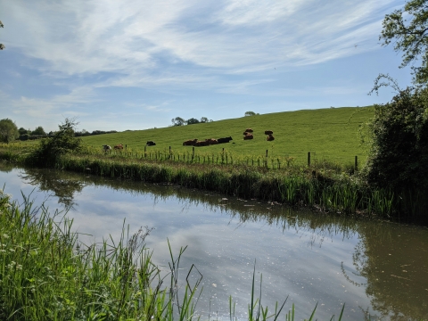 english water in countryside