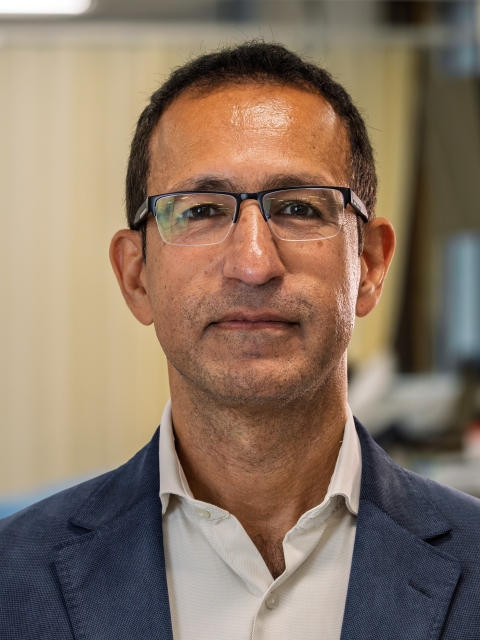 Sassan Hafizi Portrait