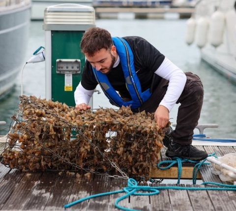 Georgios Panayiotis Georgiou Portrait