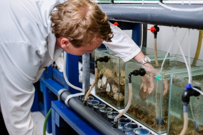 IMS Pontoon; 18th June 2019