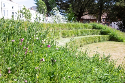 Wildflower amphitheatre in Ravelin Park