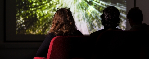 people in a theatre, watching a film