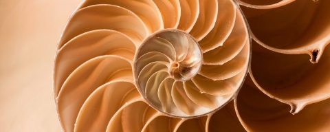 STANDARD LICENSE; PLEASE SEE ADDITIONAL ASSET FOR FULL LICENSE TERMS.
for Maths Course Page