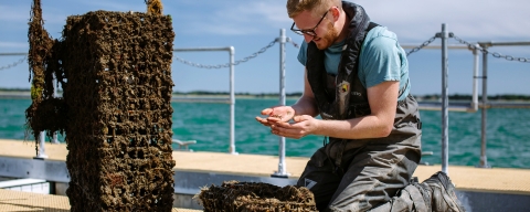 Male student observing marine life sample on pontoon