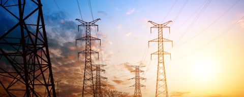 STANDARD LICENSE; PLEASE SEE ADDITIONAL ASSET FOR FULL LICENSE TERMS.