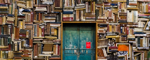 ROYALTY FREE IMAGE https://unsplash.com/photos/6ywyo2qtaZ8