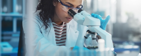 STANDARD LICENSE; PLEASE SEE ADDITIONAL ASSET FOR FULL LICENSE TERMS.