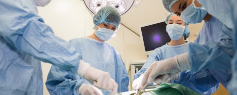 STANDARD LICENSE; PLEASE SEE ADDITIONAL ASSET FOR FULL LICENSE TERMS.