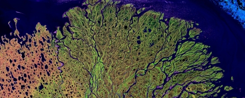 Satelite image of the Lena Delta Reserve in Siberia, the colours of the blue water and green land appear vivid as if enhanced