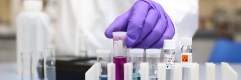 A laboratory worker handling test tubes