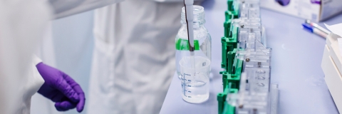 16th & 17th January 2019
Centre for Enzyme Innovation Bid