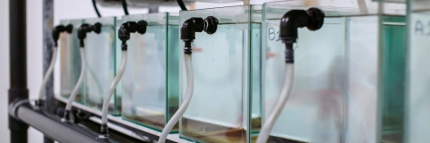 Marine research tanks