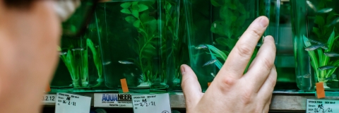 Ringfenced for Alex Ford's research project on pollution and shrimp sperm count