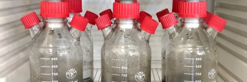 Only to be used in relation to Environmental Technology, Civil Engineering and Surveying. Staff submission so please check quality before use.