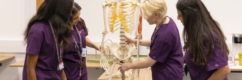 Medical Degree students using a model skeleton