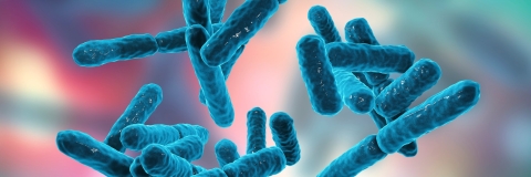 Microbiome rendering