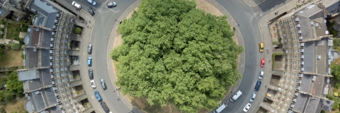 A birds eye view of a circle of houses surrounding a cluster of trees