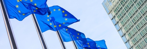 European union flags