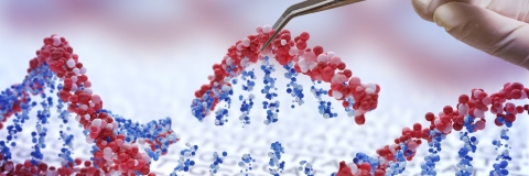 Molecular structure model