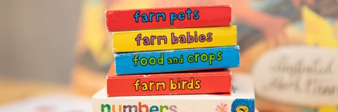 HSS Teaching Facility Milldam