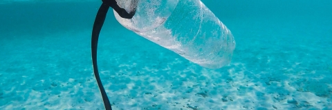 UNSPLASH STOCK PHOTOGRAPHY - FREE TO USE UNDER THE UNSPLASH LICSENSE.