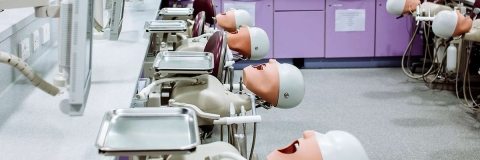University of Portsmouth Dental Academy dentistry models