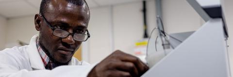 male student working in science lab