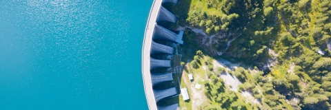 STANDARD LICENSE; PLEASE SEE ADDITIONAL ASSET FOR FULL LICENSE TERMS.