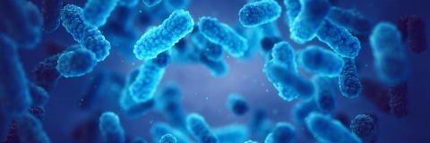 STANDARD LICENSE; PLEASE SEE ADDITIONAL ASSET FOR FULL LICENSE TERMS.