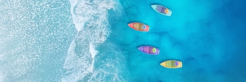 STANDARD LICENSE; PLEASE SEE ADDITIONAL ASSET FOR FULL LICENSE TERMS.