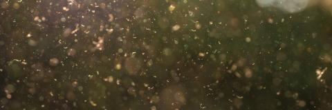 STANDARD LICENSE; PLEASE SEE ADDITIONAL ASSET FOR FULL LICENSE TERMS.