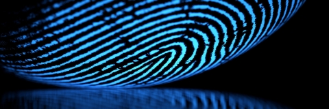 STANDARD LICENSE; PLEASE SEE ADDITIONAL ASSET FOR FULL LICENSE TERMS.