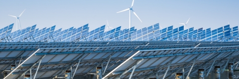 Windfarm at sea on a sunny day