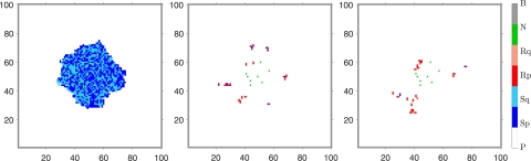 A simulation of alternating therapy enzalutamide-cabazitaxel, which almost got rid of the cancer completely after 12 weeks of therapy.