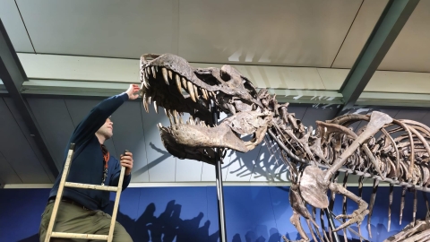 Nizar Ibrahim looking at the skull of Trinity