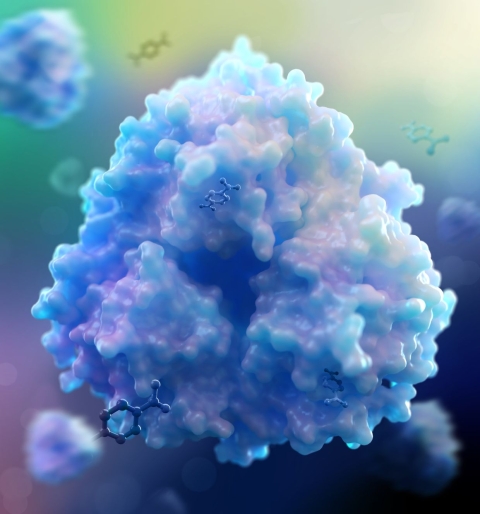 Graphic image of TPADO enzyme