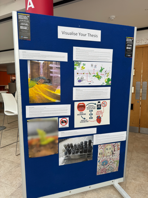 Visualise your thesis entries