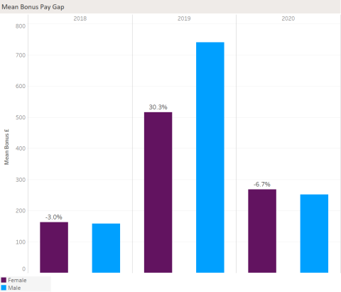  The University’s mean gender bonus gap is -6.7% (therefore in favour of females), compared to a gender pay gap of 30.3% reported in the previous year.