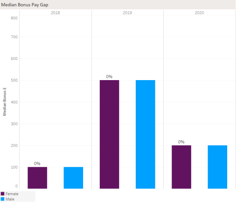 The median bonus gender pay gap for University staff has remained at 0%, which is consistent with previous years.