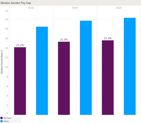 The University’s median pay gap is 23.3% which represents a 1.0% increase compared with the previous year (22.3%).