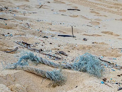 Microplastics on a sandy beach