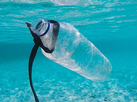 Plastic bottle under water
