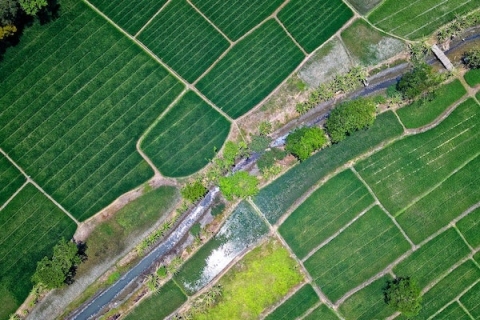 Aerial view of a field