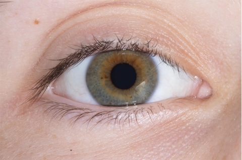 Visibilis - Mia Blake