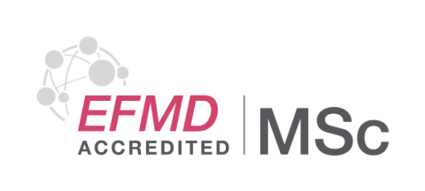 MScs accredited by the European Foundation for Management Development (EFMD)
